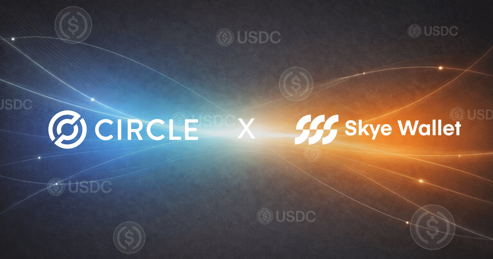 Skye Wallet Joins the Circle Alliance Program to Expand USDC-Powered Payments Across Africa